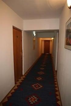 Trei Brazi Hotel 3*