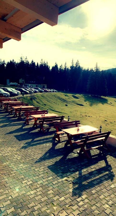 Hotel Trei Brazi 3*