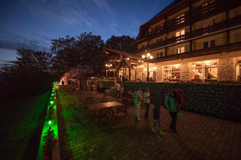 Hotel Trei Brazi 3*