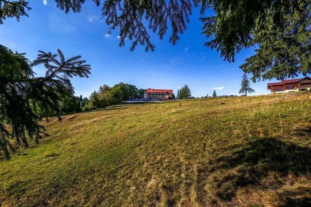 Trei Brazi Hotel Predeal